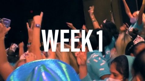 VIDEO: Week 1